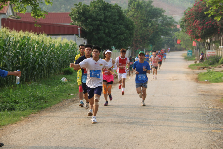 Các vận động viên tranh tài.