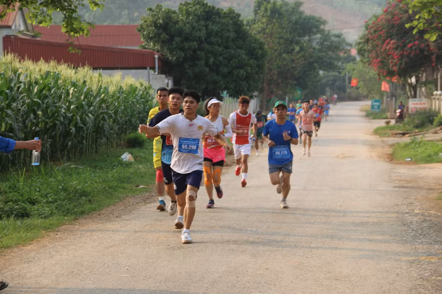 Các vận động viên tranh tài.