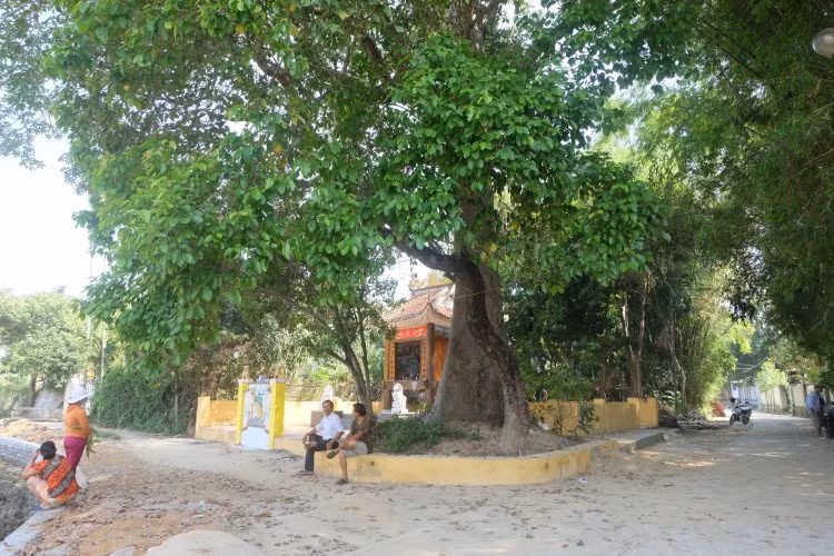 Đường vào làng cổ Phong Lệ, nay là thôn Phong Nam, xã Hòa Châu, huyện Hòa Vang, TP Đà Nẵng.