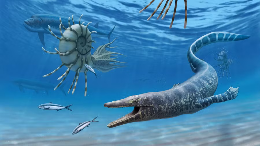 Khoảng 94 triệu năm trước, thương long vẫn còn rất nhỏ và trong giai đoạn tiến hóa.