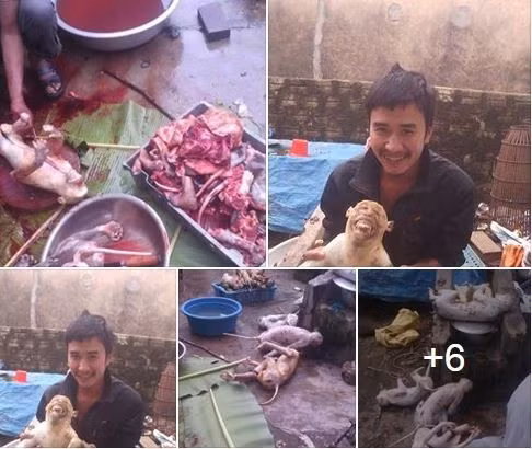 Triệu tập thanh niên giết khỉ nấu cao rồi tung lên Facebook