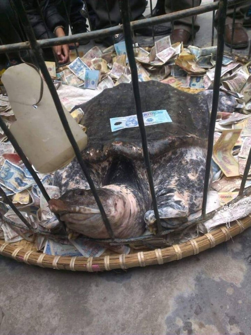 Hàng trăm người dân hiếu kỳ đổ xô đi xem Hàng trăm người dân hiếu kỳ đổ xô đi xem