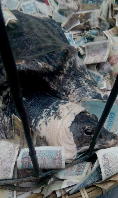 Hàng trăm người dân hiếu kỳ đổ xô đi xem Hàng trăm người dân hiếu kỳ đổ xô đi xem