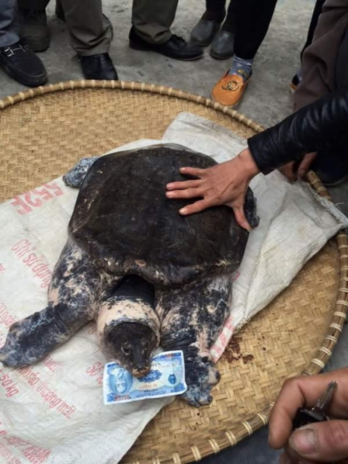 Hàng trăm người dân hiếu kỳ đổ xô đi xem Hàng trăm người dân hiếu kỳ đổ xô đi xem