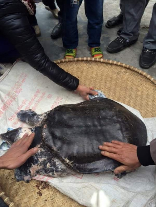 Hàng trăm người dân hiếu kỳ đổ xô đi xem Hàng trăm người dân hiếu kỳ đổ xô đi xem