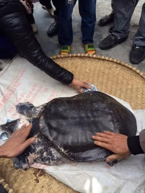 Hàng trăm người dân hiếu kỳ đổ xô đi xem 