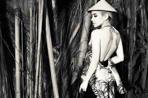 Yến Lê:  Yến Lê: