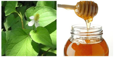 Bất ngờ trước tác dụng chữa Bat ngo truoc tac dung chua