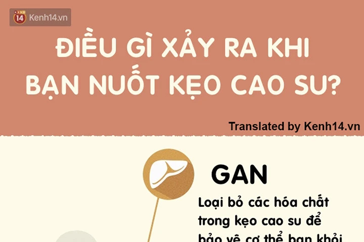 Những phản ứng bạn cần phải biết khi trót nuốt kẹo cao su vào bụng