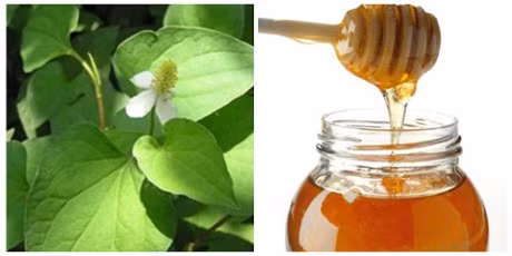 Bat ngo truoc tac dung chua 