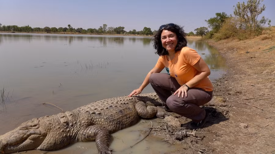 Cá sấu cũng thân thiện với du khách.