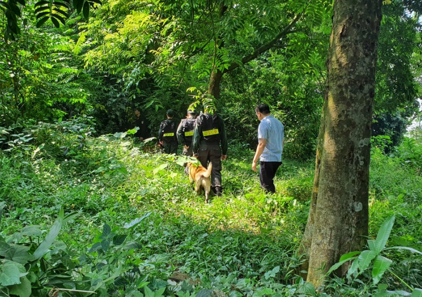 Cơ quan công an cùng chó nghiệp vụ tìm kiếm tung tích Hải Như.
