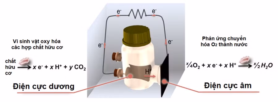 Nguyên lý hoạt động của MFC.