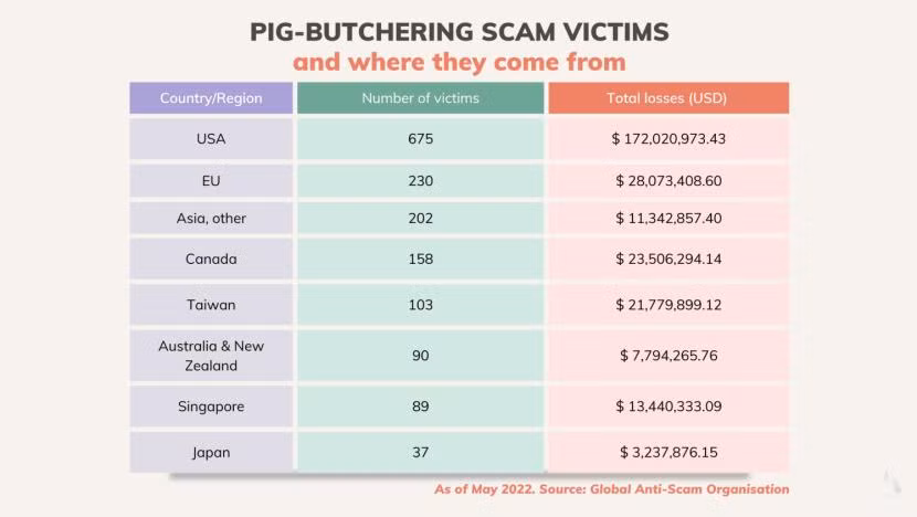 Thống kê các vụ “lừa đảo vỗ béo lợn” tháng 5/2022 ở một số quốc gia điểm nóng. Ảnh: IT