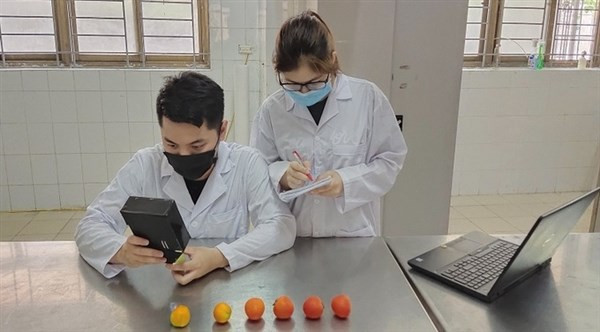 Sinh viên Bách khoa test sốt mò, đo cà chua