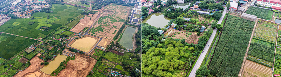 Phần lớn diện tích đất thực hiện dự án tại khu vực Mễ Trì là đồng ruộng.