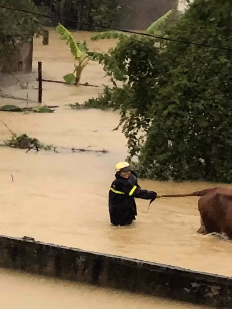 Tình hình tại Nghệ An được người dân cập nhật lúc 9h sáng 30/10.