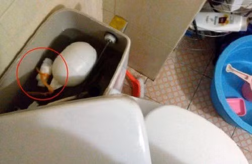 Giấu tiền ở trong két nước của bồn cầu cũng là một chỗ hiểm.