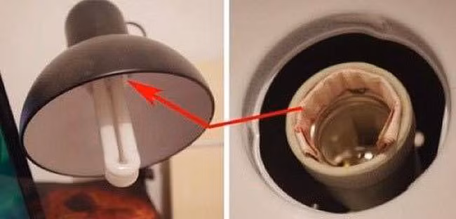 Ai có thể ngờ được dưới đui đèn lại có một số tiền lớn vậy.