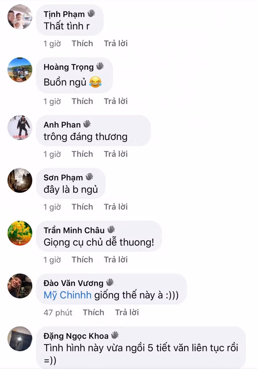 Ảnh chụp màn hình facebook.