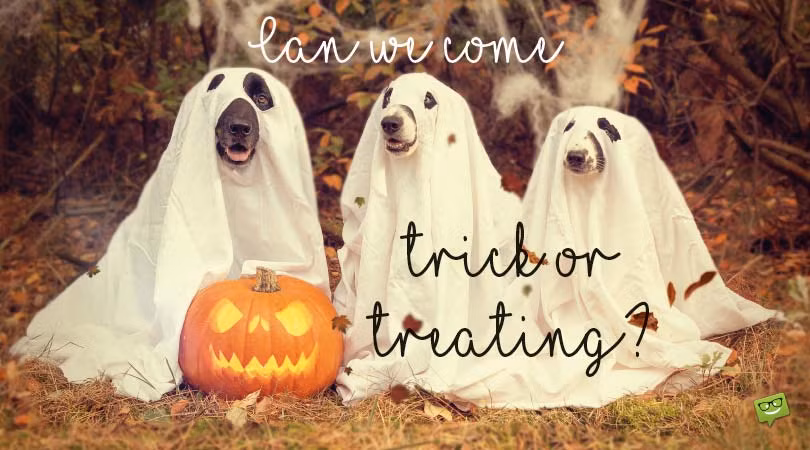 Còn bọn mình là những bóng ma ngộ nghĩnh!