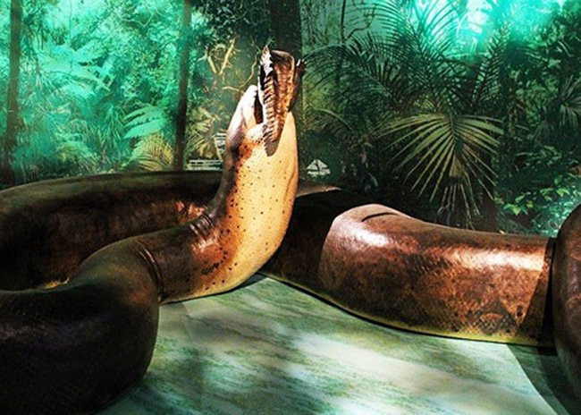 Những động vật kì quặc từng thống trị Trái Đất ảnh 12 Những động vật kì quặc từng thống trị Trái Đất ảnh 12