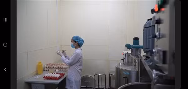 Màng từ hồ tinh bột kết hợp nano bạc bảo quản trứng gà tươi trong 28 ngày.