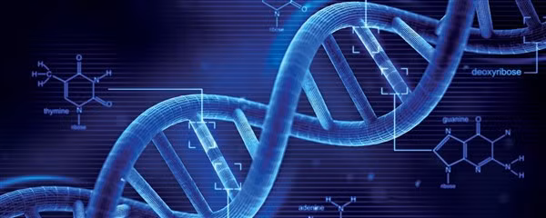 Giải trình tự gene phát hiện sớm bệnh tim di truyền ảnh 1