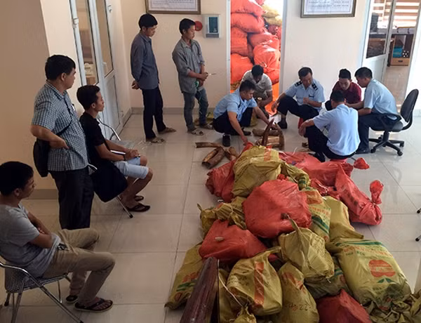 Tang vật tê tê và ngà voi cơ quan chức năng phát hiện.