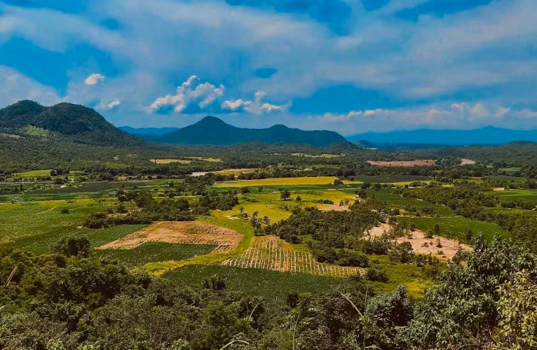 Không gian của núi rừng ở Bác Ái đã “khởi sắc”. Ảnh: Duy Quan