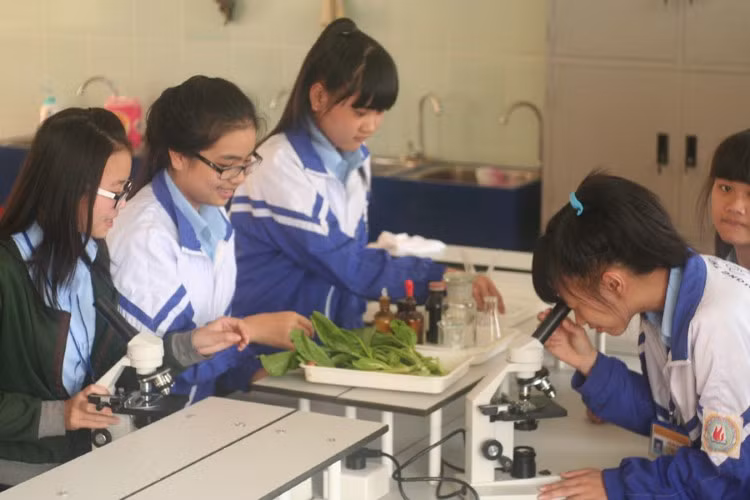 NCKH giúp HS phát triển toàn diện. Ảnh: IT