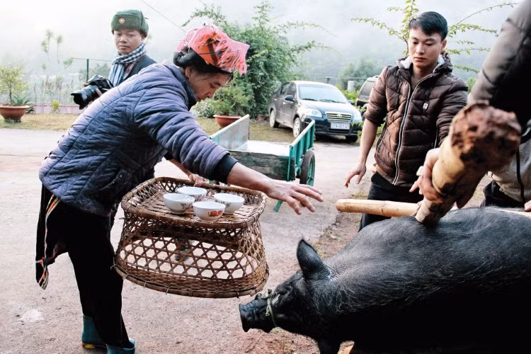 Làm lý trước khi mổ lợn cầu cho mưa thuận gió hòa, mùa màng tốt tuơi