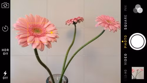 Làm chủ khả năng lấy nét khi chụp ảnh bằng iPhone