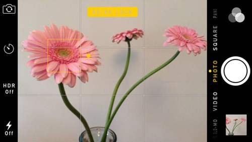 Nhấn giữ vài giây vào vùng màn hình trên chủ thể để khóa nét và khóa sáng. Nhấn giữ vài giây vào vùng màn hình trên chủ thể để khóa nét và khóa sáng.