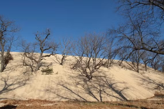 Đụn cát núi Baldy