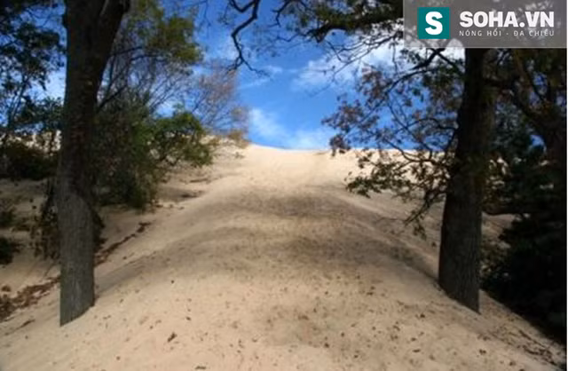  Lối đi lên đụn cát 