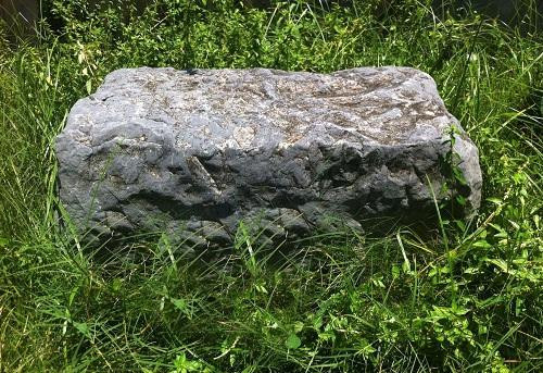 Bệ đá dùng để giã cói đan bị ró ở làng Đại Toán – quê hương Trạng Tỏi (hiện đang lưu giữ và trưng bày tại Bảo tàng Bắc Ninh). Bệ đá dùng để giã cói đan bị ró ở làng Đại Toán – quê hương Trạng Tỏi (hiện đang lưu giữ và trưng bày tại Bảo tàng Bắc Ninh).