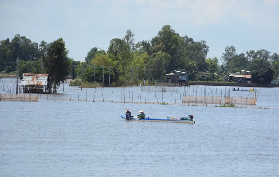 Khai thác thủy sản mùa lũ tại huyện đầu nguồn An Phú (An Giang).