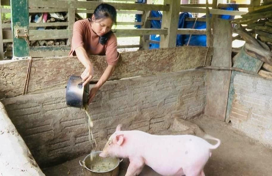 Những lúc nghỉ học được về nhà, em Cao Thị Lệ Hằng phụ giúp mẹ các công việc gia đình. Những lúc nghỉ học được về nhà, em Cao Thị Lệ Hằng phụ giúp mẹ các công việc gia đình.