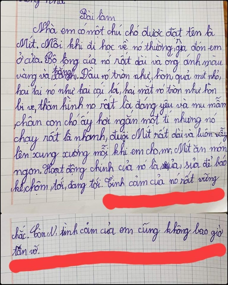 Những bài văn chân thực, đáng yêu “hết nấc” của trẻ ảnh 4 Những bài văn đáng yêu 'hết nấc' của trẻ