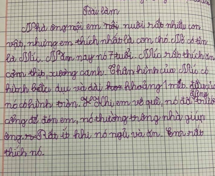 Những bài văn chân thực, đáng yêu “hết nấc” của trẻ ảnh 3 Những bài văn đáng yêu 'hết nấc' của trẻ