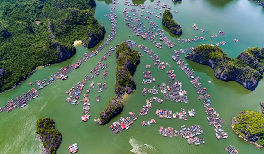 Làng ở Cát Bà, TP Hải Phòng. Ảnh: C.B.