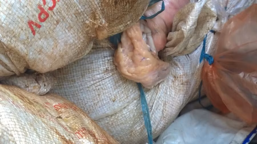 Cuối năm, xe chở thịt thối thi nhau tung hoành