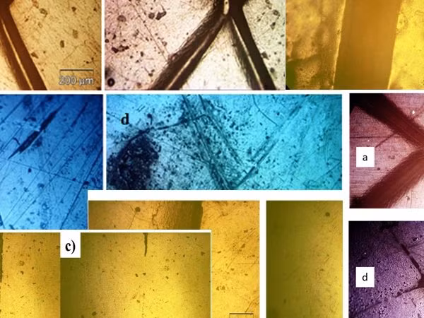 Các mẫu vật liệu tự lành khi quan sát dưới kính hiển vi quang học.