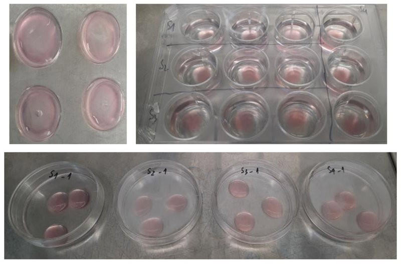 Các tấm tế bào SCgel.