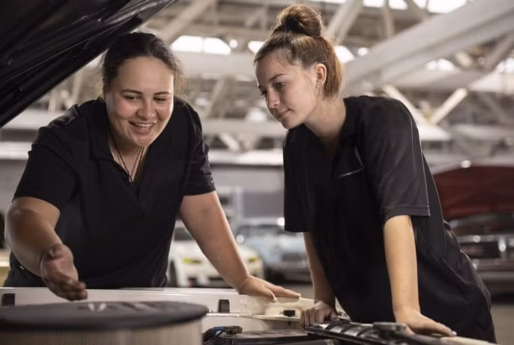 Đào tạo nghề là lĩnh vực giáo dục phổ biến tại New Zealand.