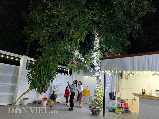 Lạ ở Yên Bái: “Cụ” roi hơn 40 tuổi đơm vạn quả trái vụ đón Tết hình ảnh 7 la o yen bai: “cu” roi hon 40 tuoi dom van qua trai vu don tet hinh anh 7