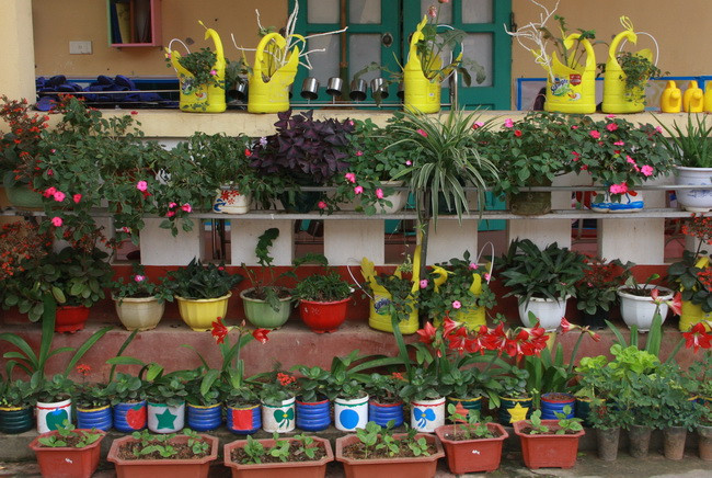 Mỗi bé chăm sóc một cây trước lớp học