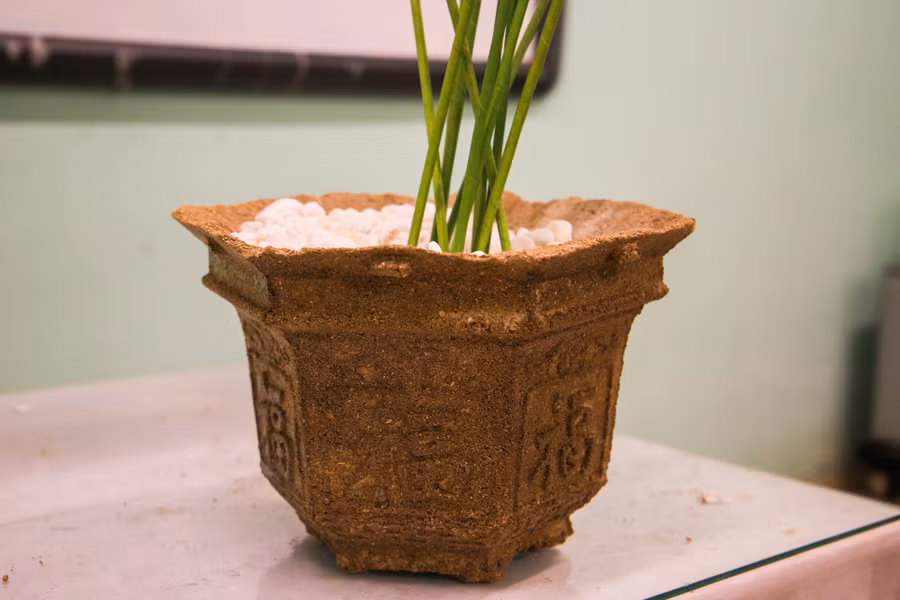 Chậu đựng cây cảnh được nhóm học sinh khắc chữ xung quanh.