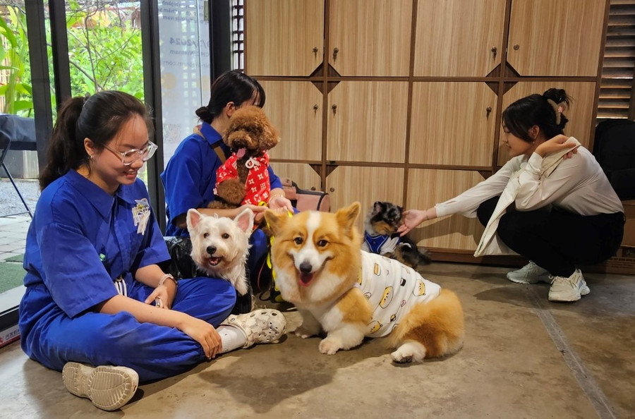 Ngành công nghiệp thú cưng được đánh giá là có tiềm năng lớn tại Việt Nam về sản xuất và cung ứng dịch vụ,…